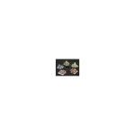 49962-large_default.webp