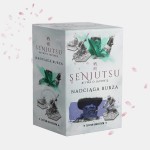  Senjutsu: Nadciąga burza