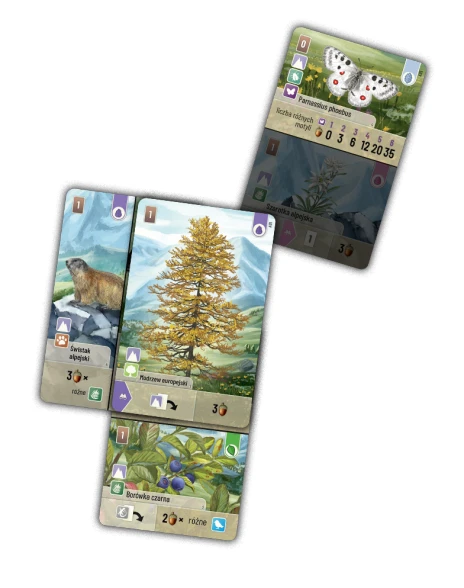 Leśne rozdanie: Alpy