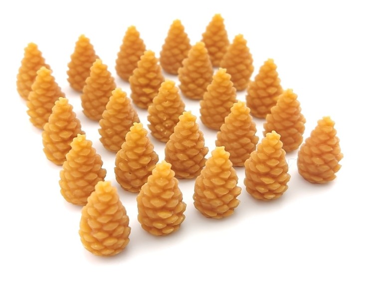 kaskadia zetony natury szyszki