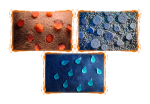 baner.png