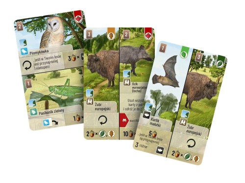 gry-bez-pradu-dodatek-lesne-rozdanie-na-skraju-lasu-karty.jpg