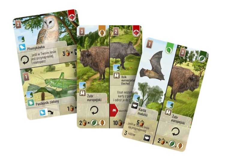 gry-bez-pradu-dodatek-lesne-rozdanie-na-skraju-lasu-karty.jpg