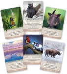 Dominant Species: Władcy Ziemi karty