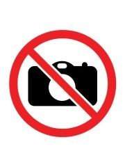 Mały odkrywca - Ortografia TREFL