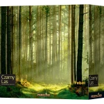 czarny-las-gra-planszowa-gry-bez-pradu.webp