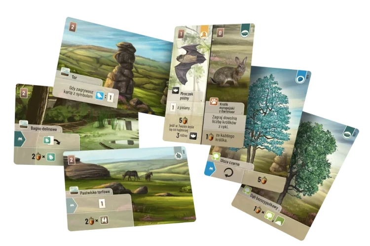 rebel-gra-strategiczna-lesne-rozdanie-dartmoor-asset1.webp