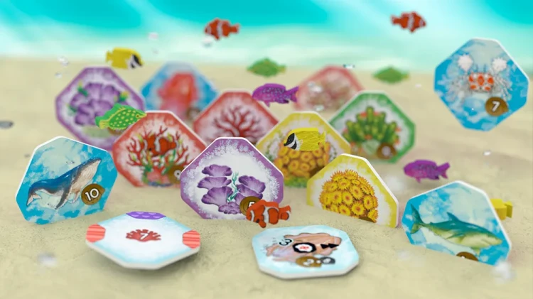 shallow-sea-wielka-rafa-koralowa-gra-planszowa-elementy.webp