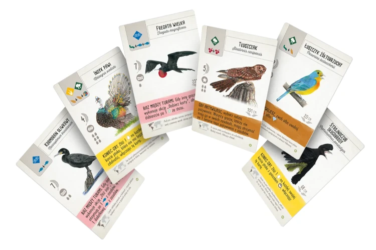 na-skrzydlach-ptaki-ameryk-karty.webp