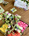 vines-and-flowers-elementy4.webp