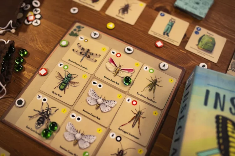 insectarium-elementy.webp