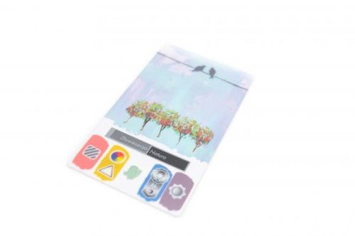 Canvas (gra planszowa) karty