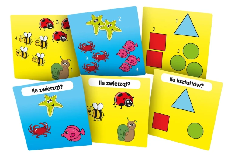 BrainBox - Poznaję liczby karty