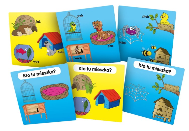 BrainBox - Poznaję domy zwierząt karty