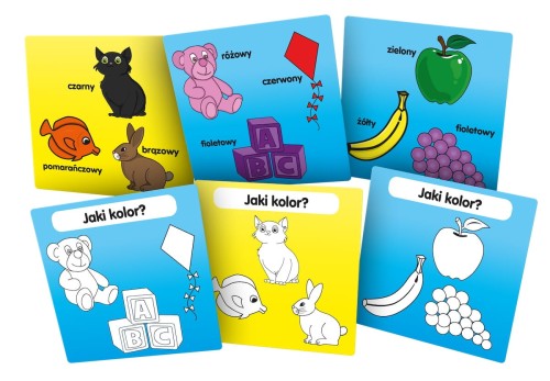 BrainBox - Poznaję kolory karty