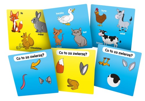 BrainBox - Poznaję zwierzęta karty