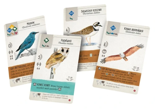 Na skrzydłach: Ptaki Azji karty