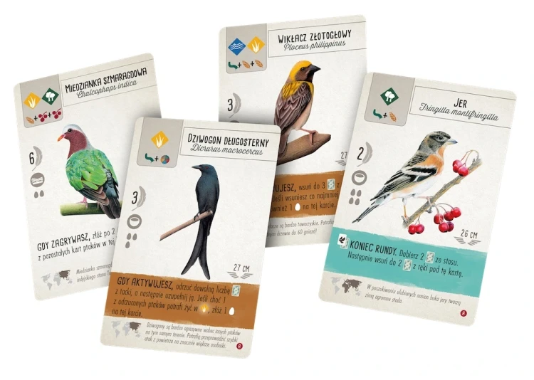 Na skrzydłach: Ptaki Azji karty