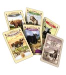 Great Western Trail: Argentyna karty