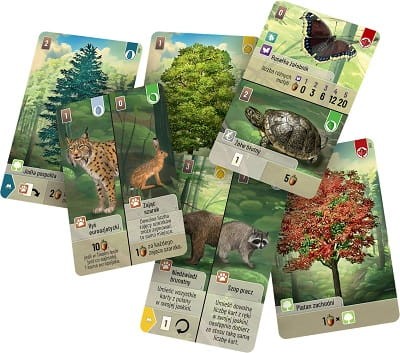 Leśne rozdanie karty