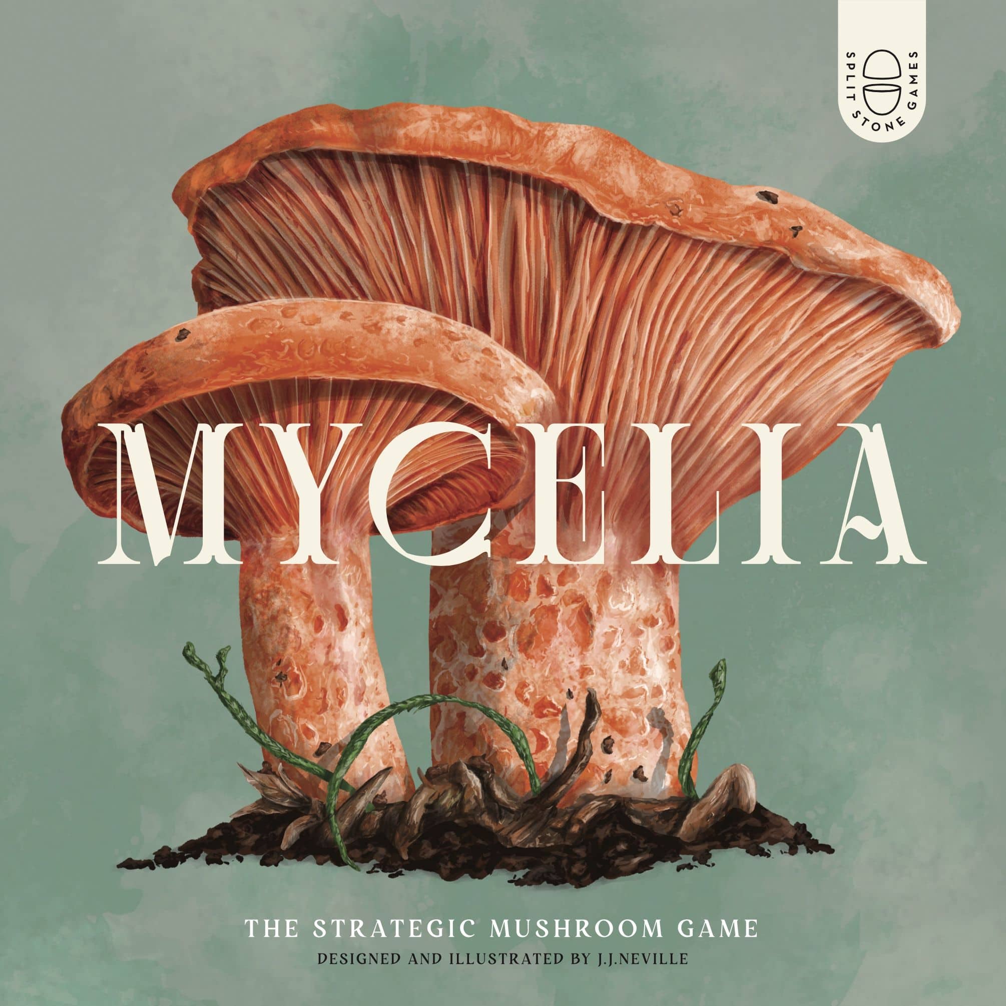 Mycelia (gra planszowa PL)
