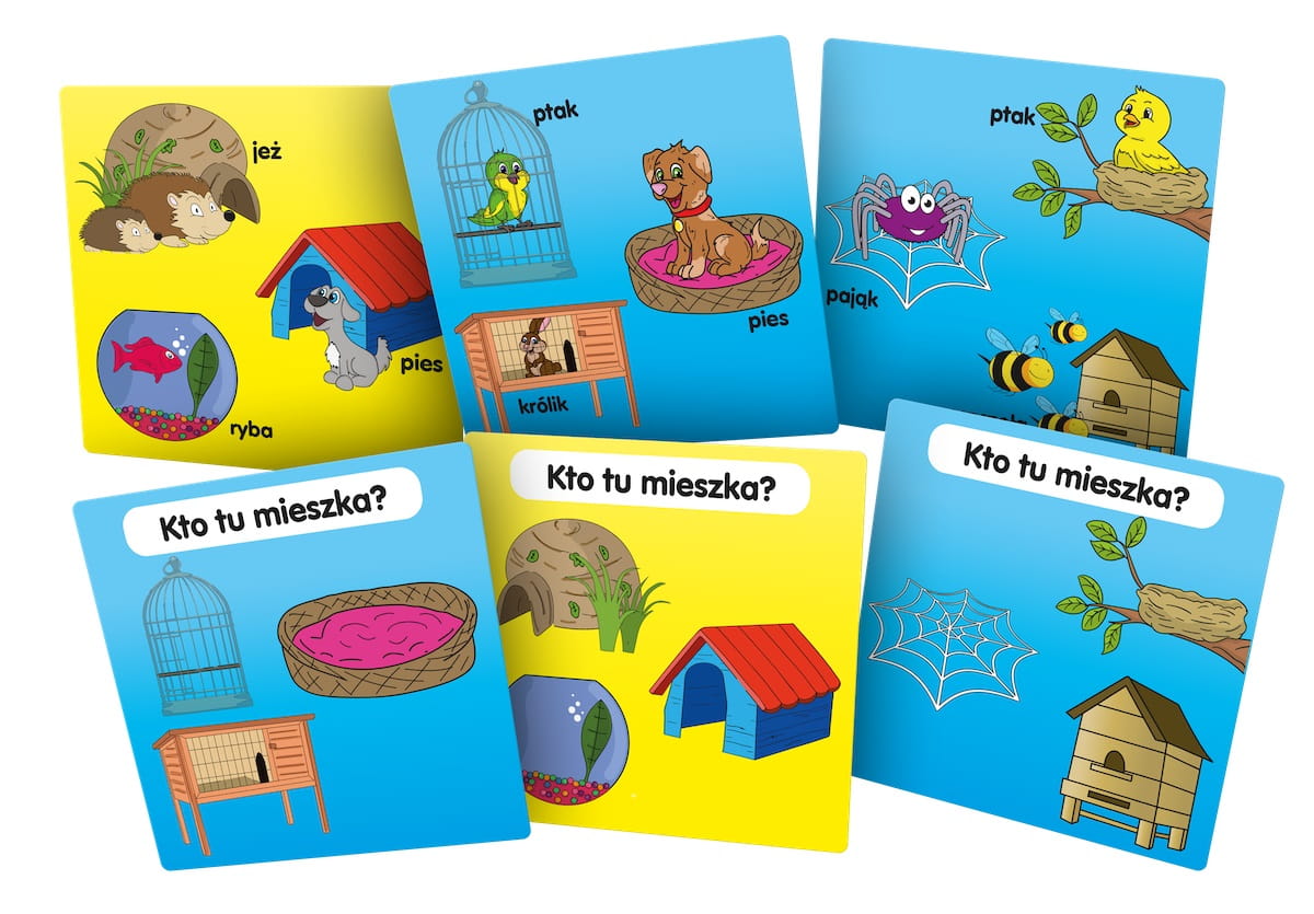 BrainBox - Poznaję domy zwierząt karty